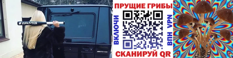 Псилоцибиновые грибы Psilocybine cubensis Данков